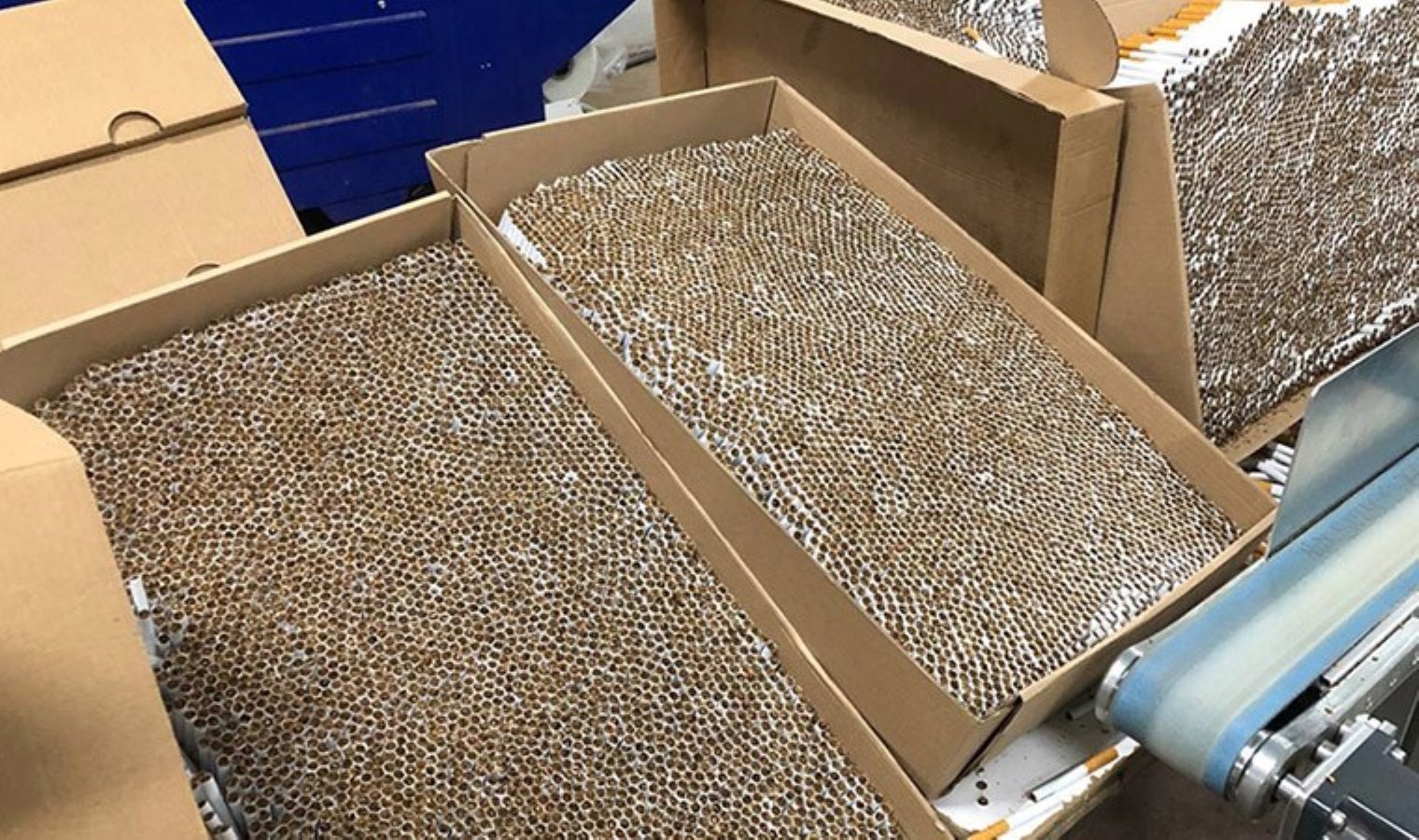 85 bin 600 adet ele geçirildi… Mersin’de kaçak makaron operasyonu: Gözaltılar var!