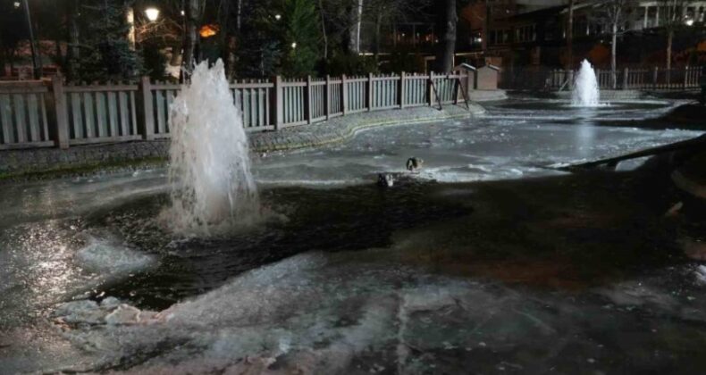 Ankara’da hava sıcaklığı eksi 10 dereceye düştü: Kuğulu Park’ın havuzu dondu