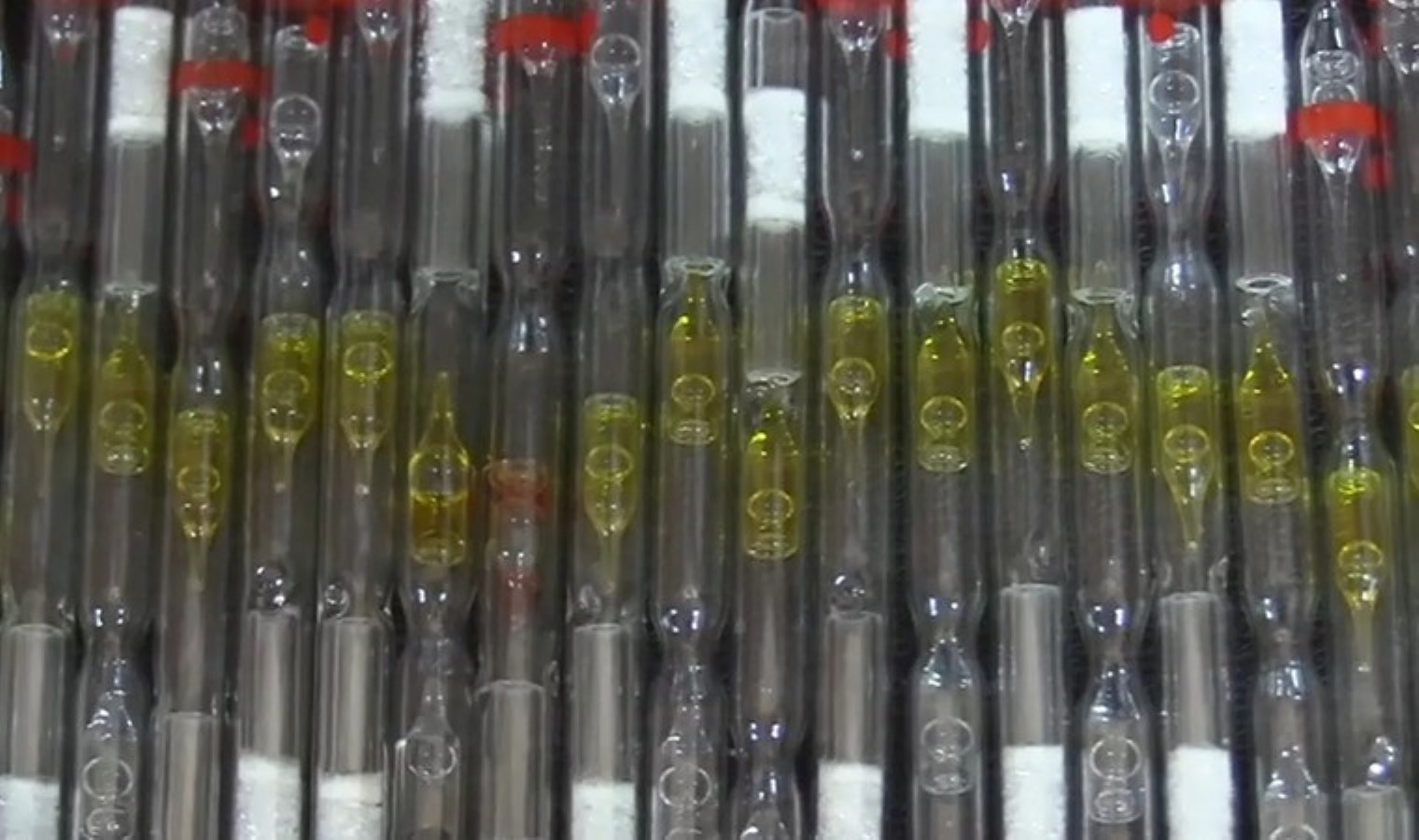 Ankara’da ilginç operasyon: 19 tüp ‘kobra zehri’ ele geçirildi