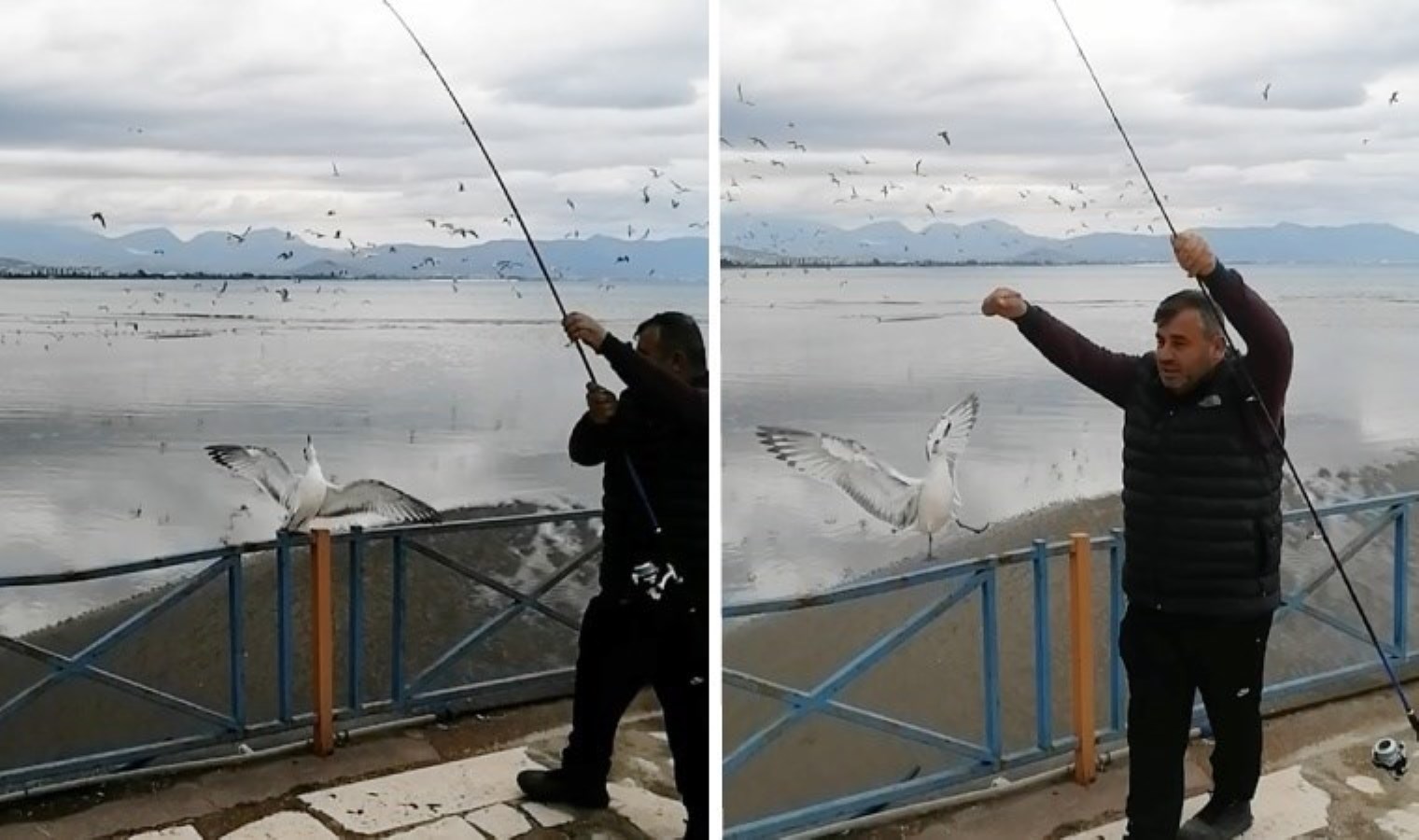 Antalya’da amatör balıkçının oltasına balık yerine martı takıldı