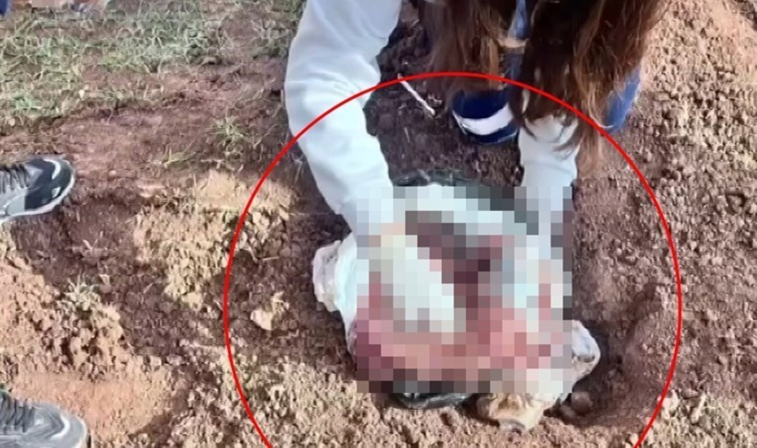 Arazide bebek cesedi bulundu: Annesinin yaptığı ortaya çıktı