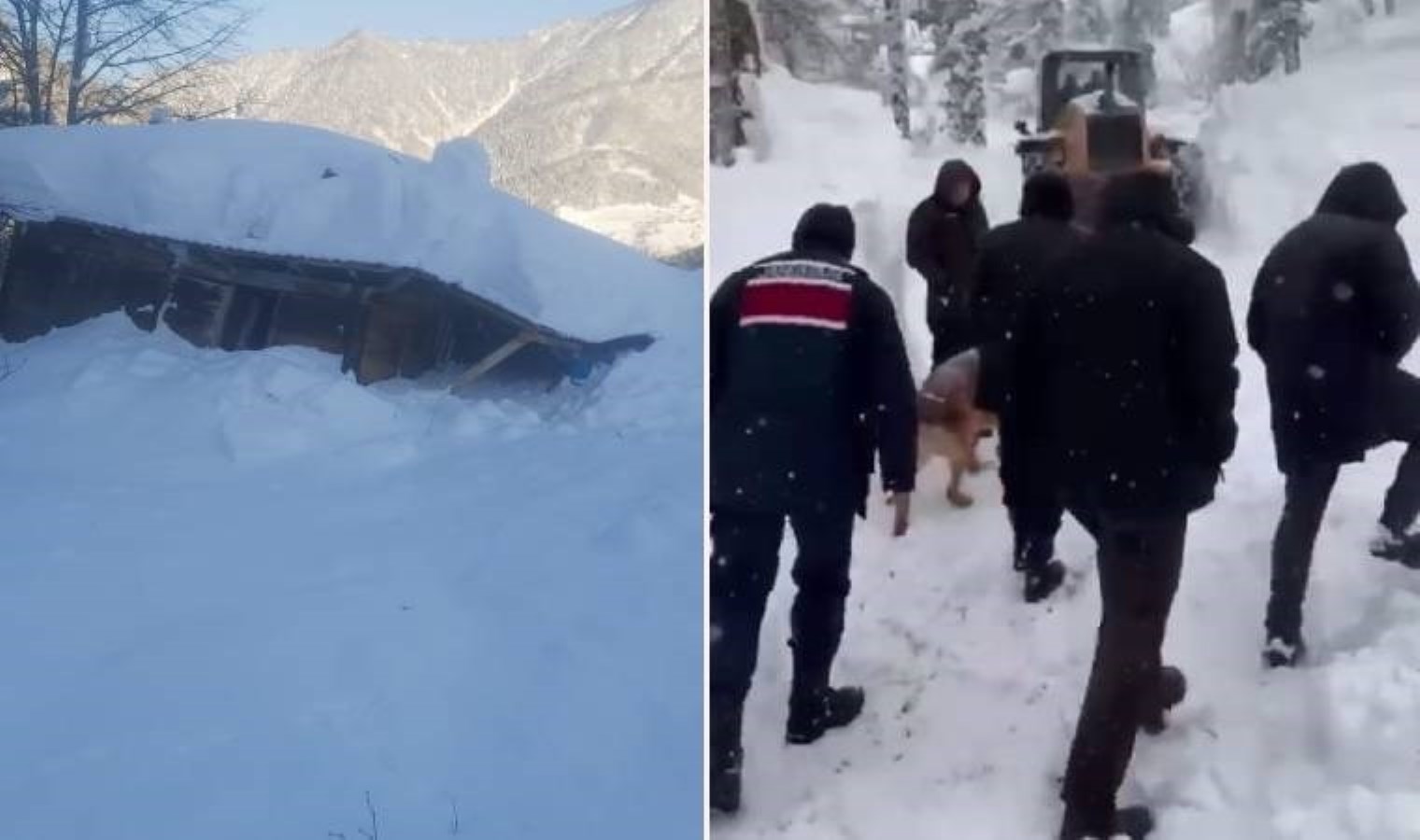 Artvin’de çığ düştü; 2 ev ile 1 iş makinesi kar kütlesi altında kaldı