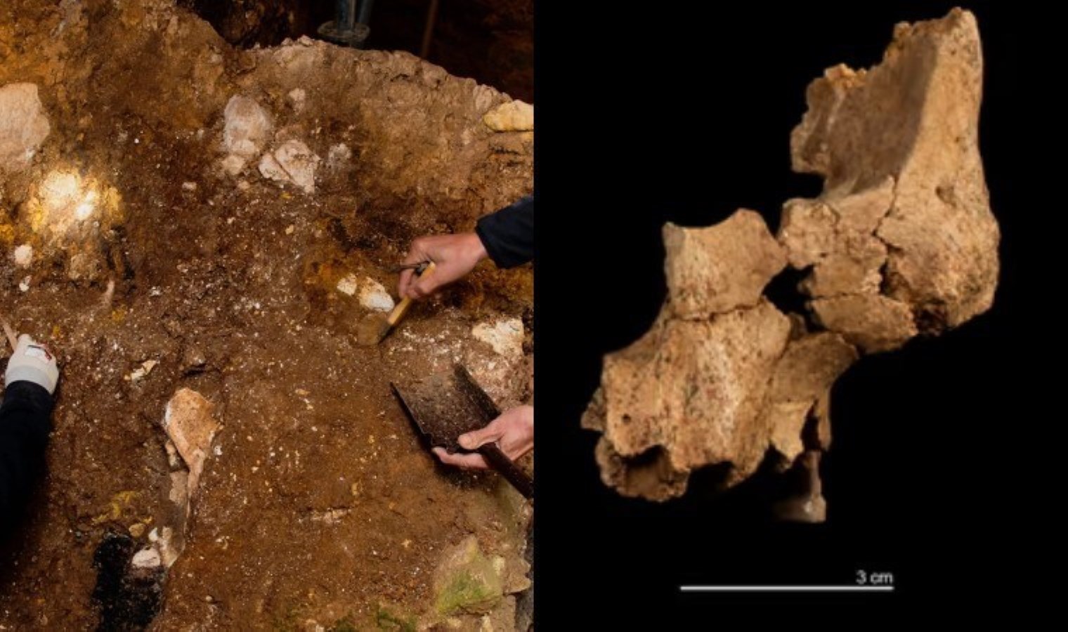Batı Avrupa’nın en eski insan kalıntısı keşfedildi