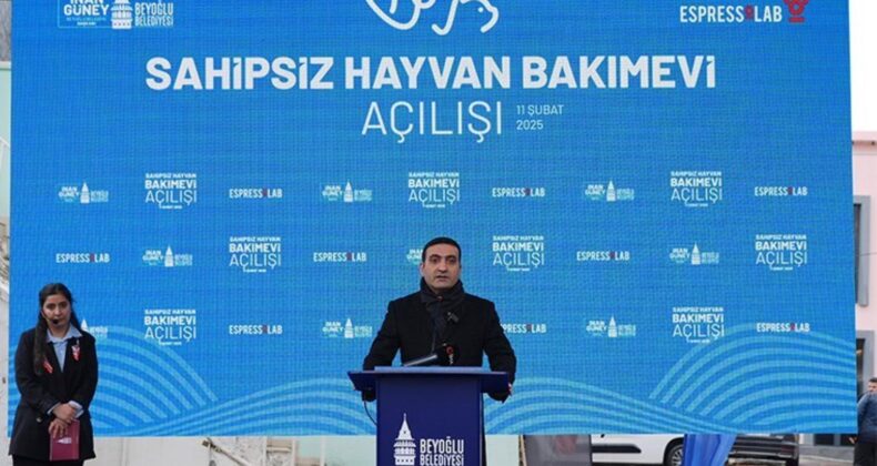 Beyoğlu’nda örnek proje: Tam donanımlı sahipsiz hayvan bakımevi açıldı!