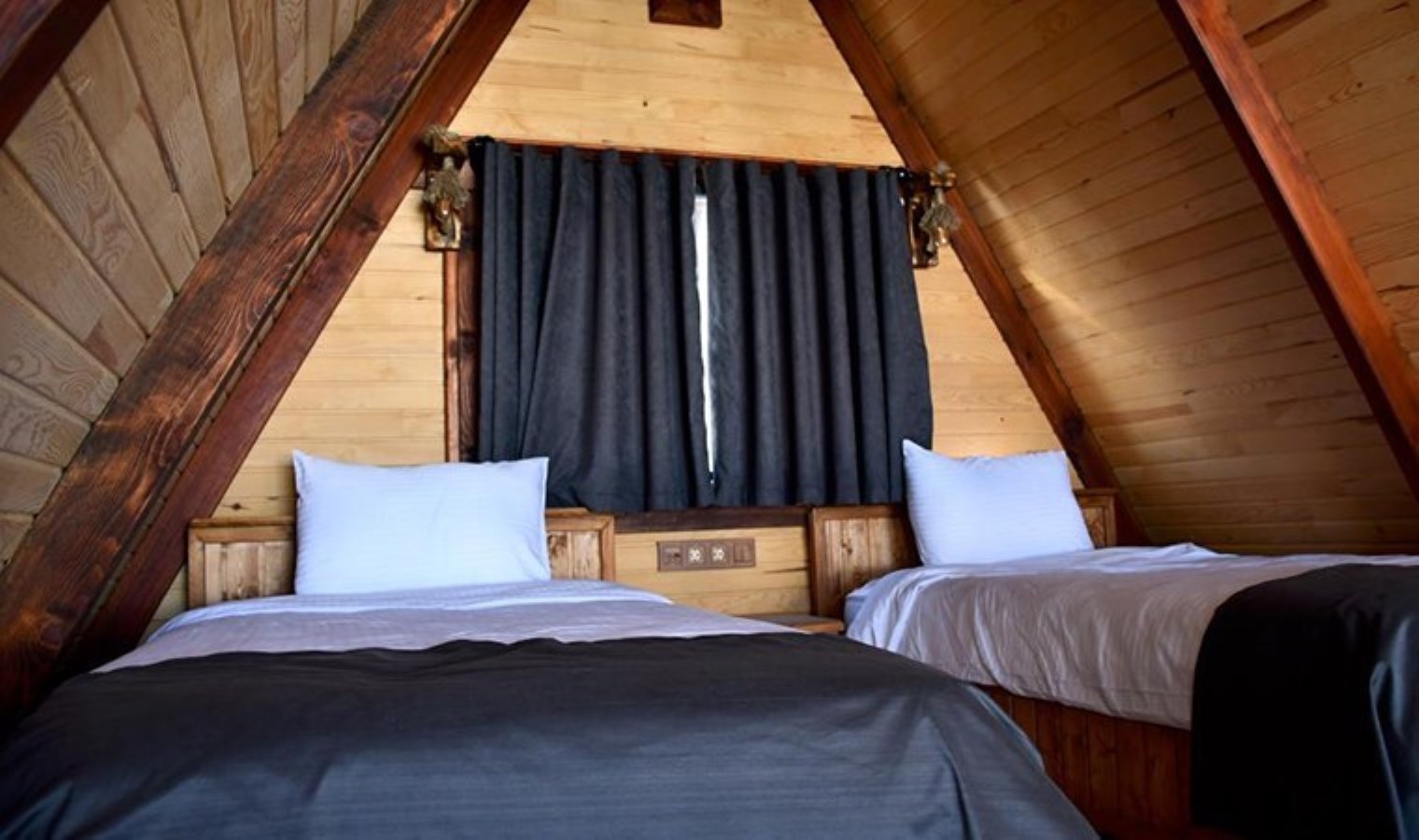 Bir ‘bungalov’ dolandırıcılığı daha! Kiralama vaadiyle 2 milyon TL’lik vurgun yaptılar