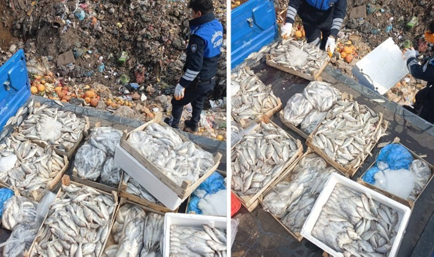 Bir ilde daha sağlık skandalı! Hepsini yurttaşlara yedireceklerdi: 16 kasa imha edildi!