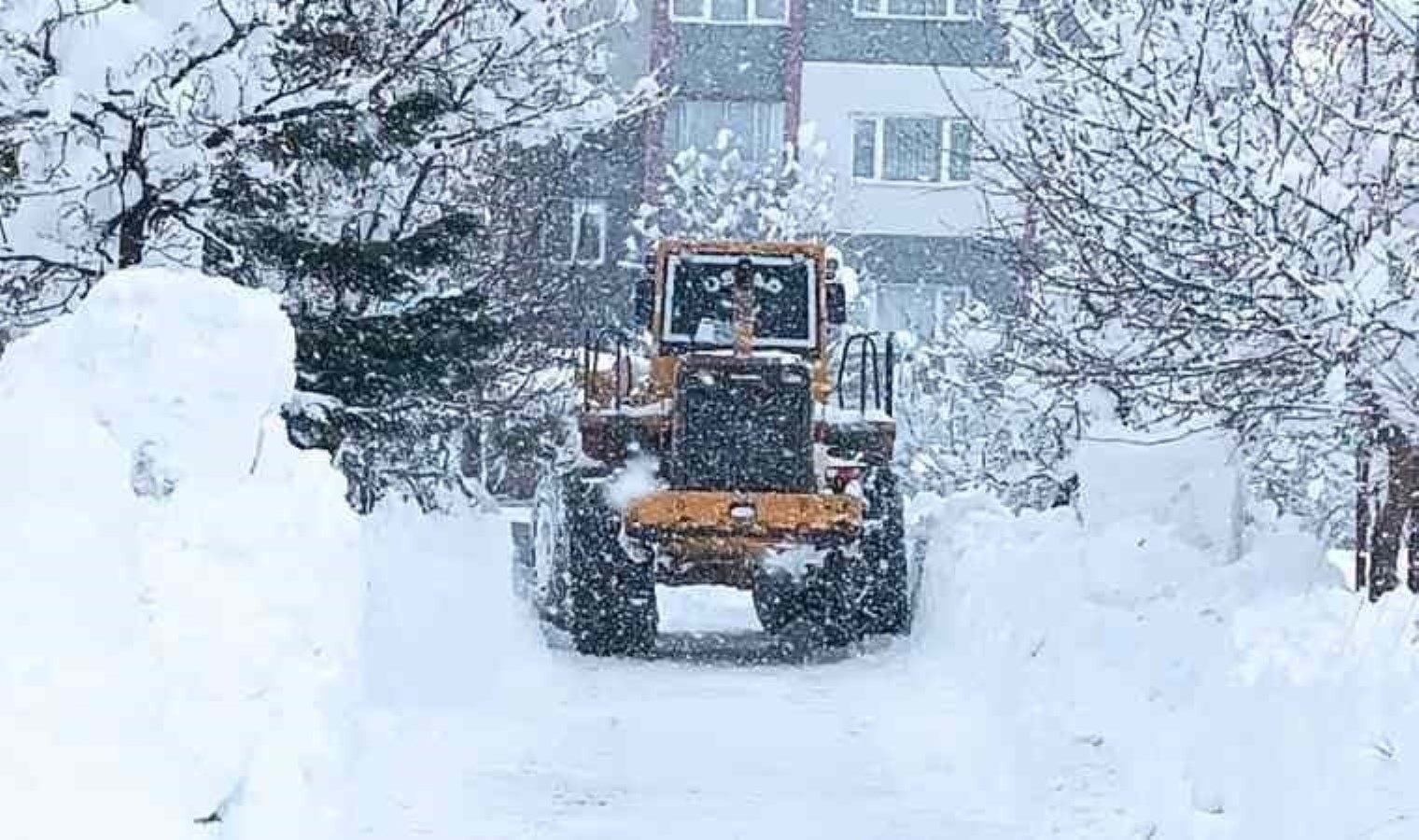 Bitlis’te kapanan 250 köy yolu ulaşıma açıldı