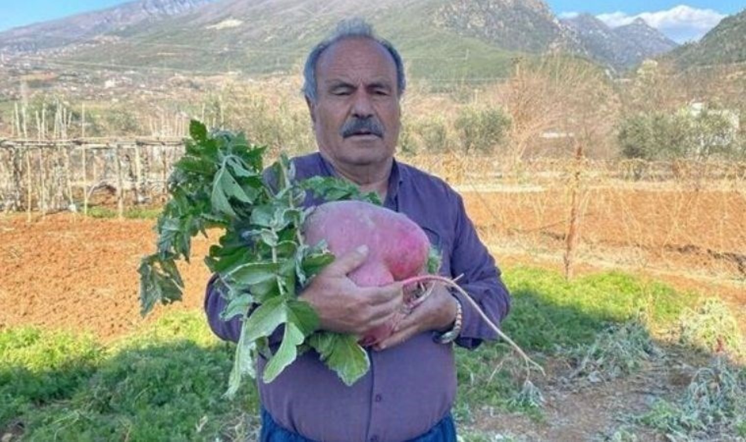 Boyutuyla çiftçiyi şaşırttı: Osmaniye’de devasa sebze