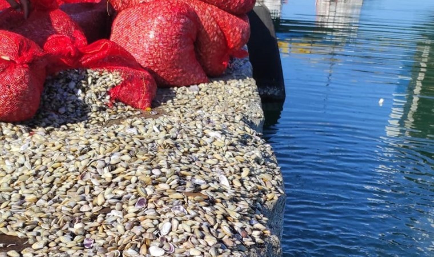 Çanakkale’ye gönderilecekti! Samsun’da ele geçirildi: Tam 3 ton…