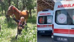 Cezaevinden izinli çıkan babasını öldürmüştü: Annesi tahliye edildi