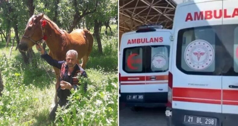 Cezaevinden izinli çıkan babasını öldürmüştü: Annesi tahliye edildi