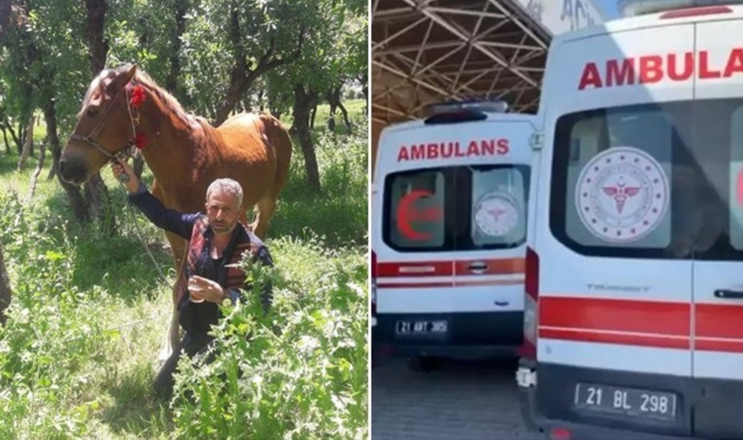 Cezaevinden izinli çıkan babasını öldürmüştü: Annesi tahliye edildi