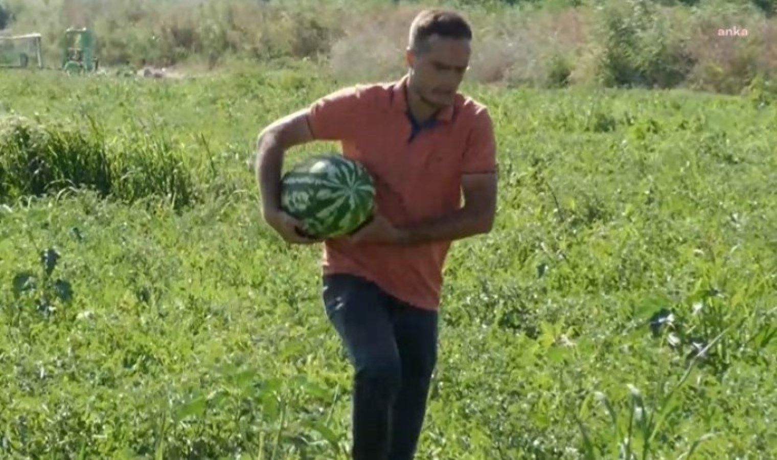 ‘Çiftçinin anası ağlıyor’ diyen çiftçiye ‘Cumhurbaşkanı’na hakaret’ davası!