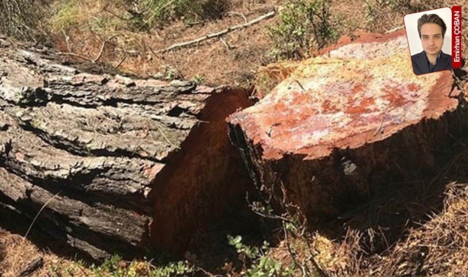 Define skandalının ardından görev yerini değiştirirken arkadaşına iş verdi iddiası: Giderayak rant sağladı