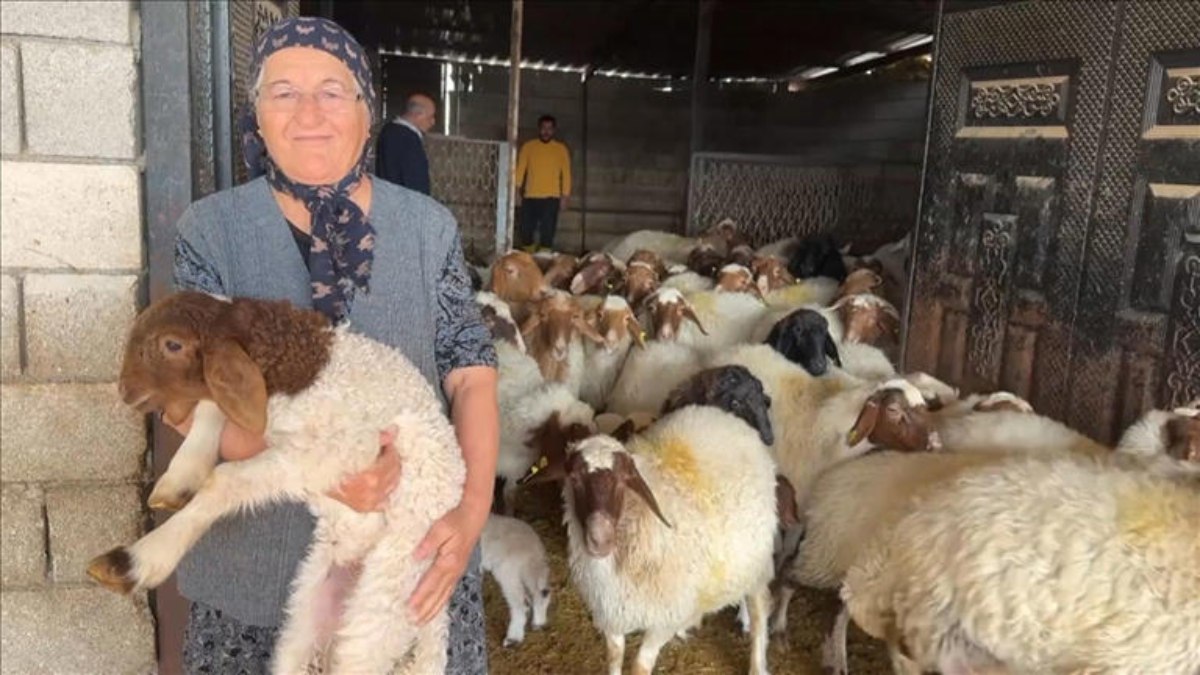 Devlet desteğiyle depremde telef olan hayvanların yerine yenisi geldi