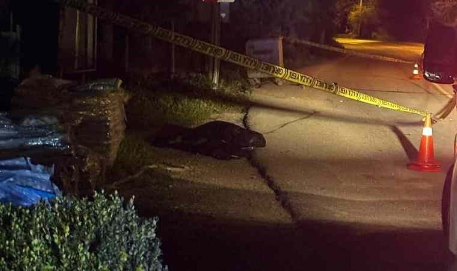 Engelli yayaya çarpıp ölümüne neden oldu: Tutuklandı!