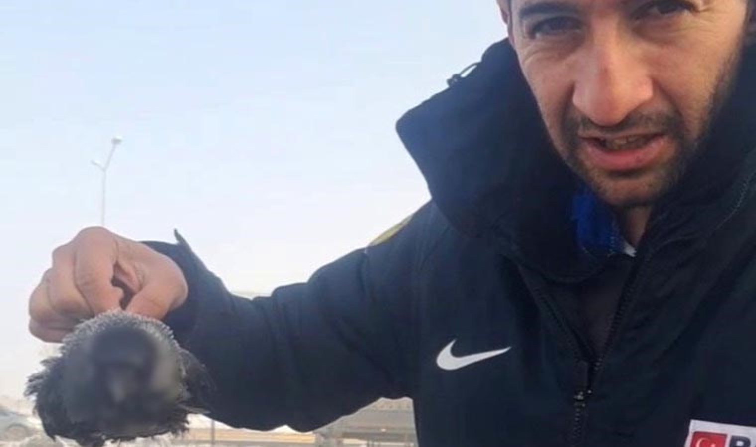 Erzurum’da sıcaklık eksi 30’a düştü… Karga, soğuktan donarak öldü