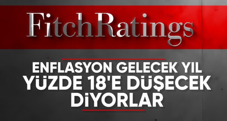 Fitch Ratings direktöründen Türkiye değerlendirmesi: Enflasyon daha da düşecek