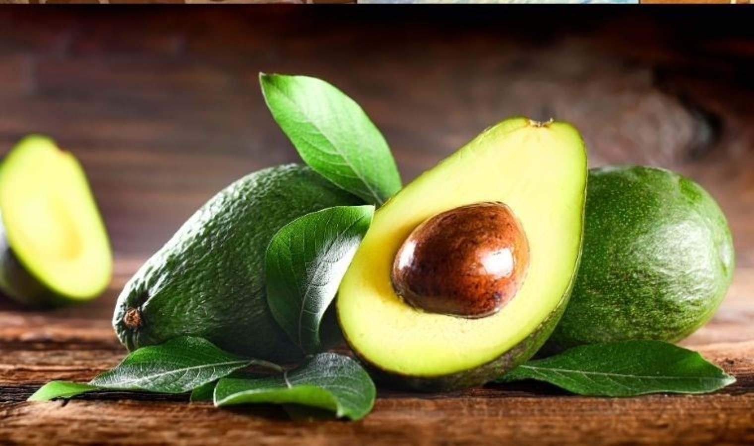 Geleneksel tıbbın gizli kahramanı: Avokado yaprağı ve vücuda mucizevi etkileri