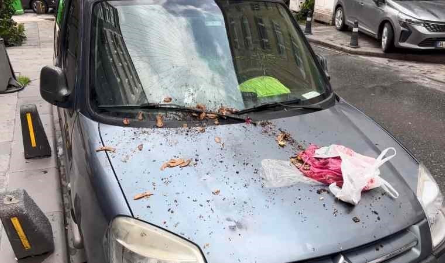 Güngören’de 6 katlı binadan atılan çöp aracın camını kırdı