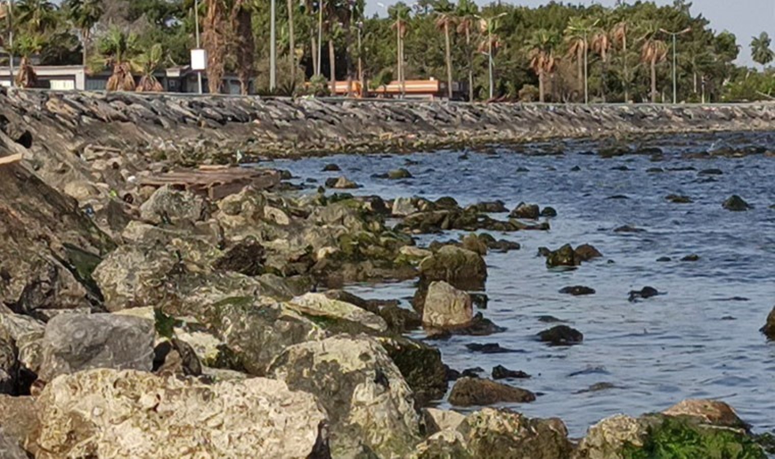 Hatay’da fırtına sonrası deniz 50 metre çekildi