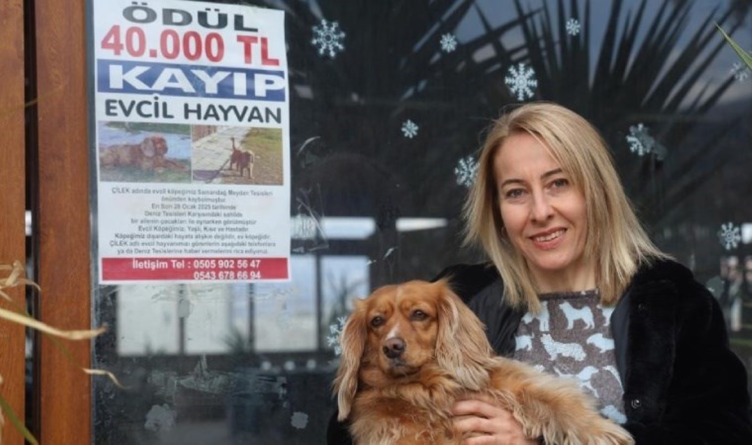 Hatay’da kaybolan İngiliz Cocker cinsi köpeğini bulana 40 bin TL ödül verecek