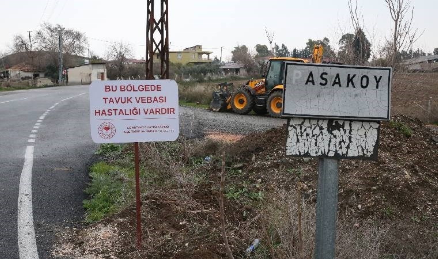 Hatay’da kuş gribi alarmı… Mahalle karantinaya alındı!