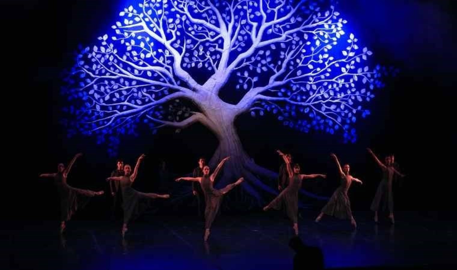 Hazırlıklar tamamlandı… ‘Dansın Ritmi’ dünya prömiyerine hazır!