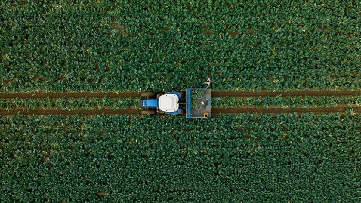 İbrahim Yumaklı: Çiftçilere 3,2 milyar lira destek ödemesi bugün yapılacak