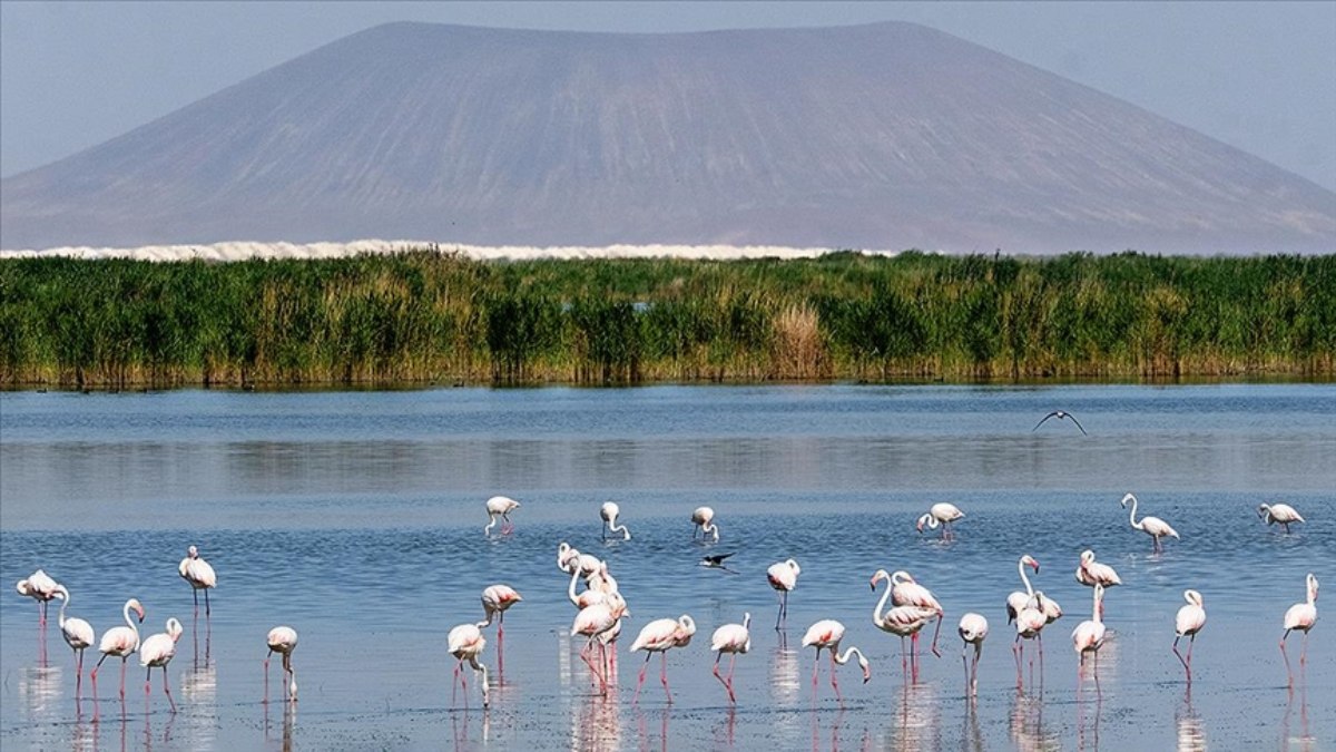 İbrahim Yumaklı: Türkiye’de 131 sulak alan koruma altında