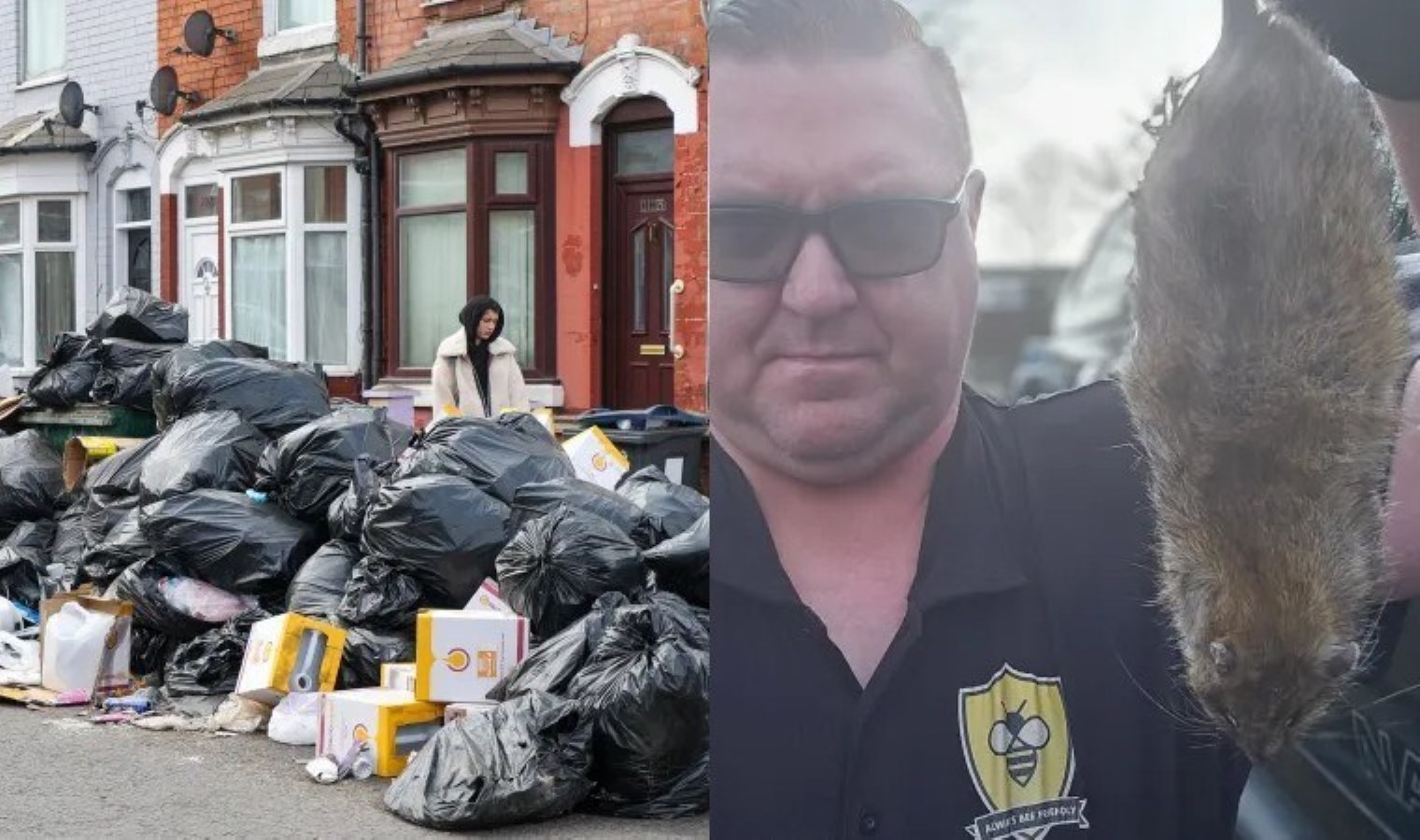 İngiltere’de çöp krizi: Grev başladı, sokakları fareler sardı