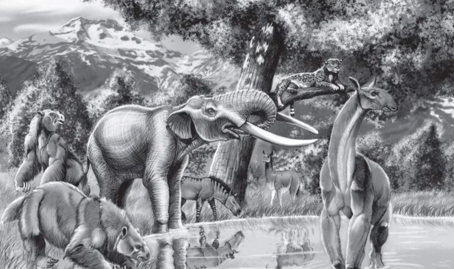 İnsanlar ve dev hayvanlar binlerce yıl beraber yaşadı: Brezilya’daki fosiller tarihi değiştiriyor