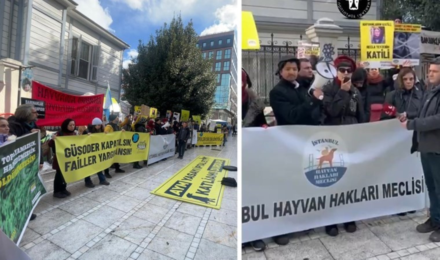 İstanbul Hayvan Hakları Meclisi, Kadıköy’de ‘Necla Teyze’ için toplandı: ‘Baktığı canları korumak istediği için can verdi!’