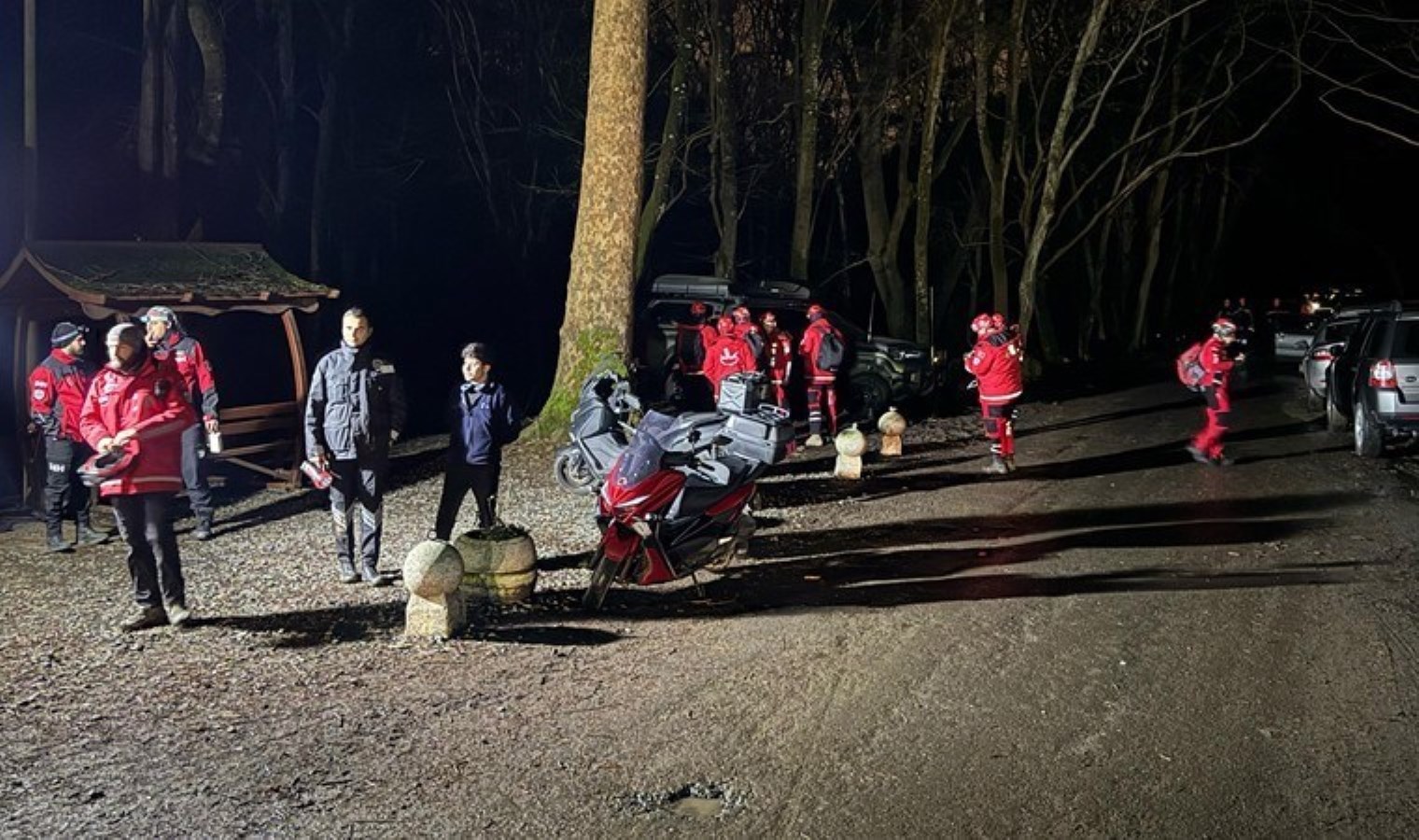 İstanbul’da kaybolan kadın için Belgrad Ormanları’nda arama çalışması başlatıldı