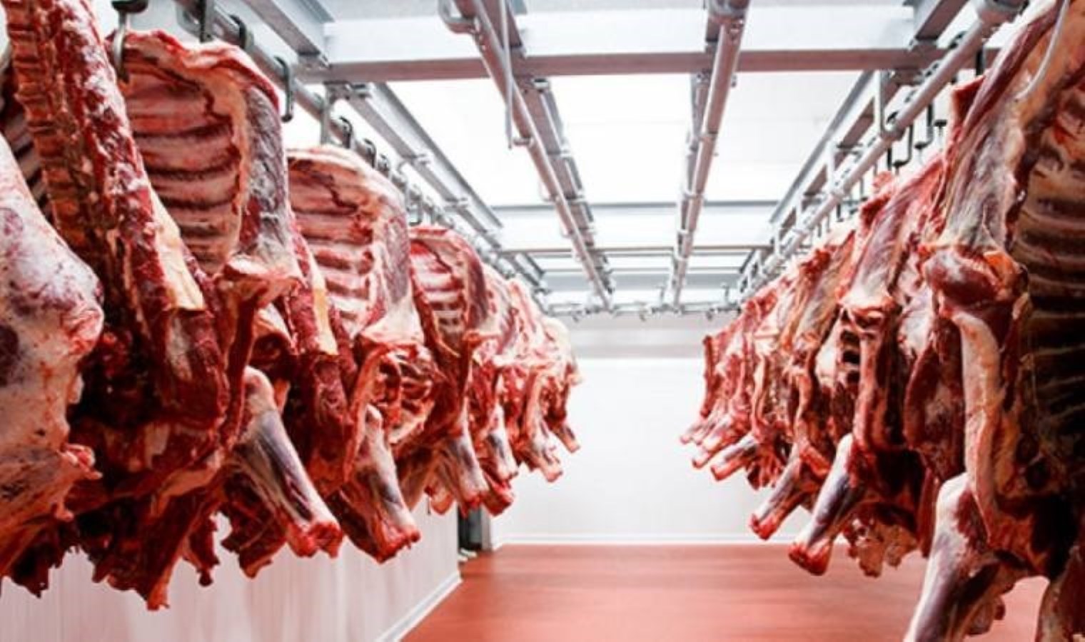 ‘İthal et’ skandalında flaş gelişme: Liste başında Köfteci Yusuf var!