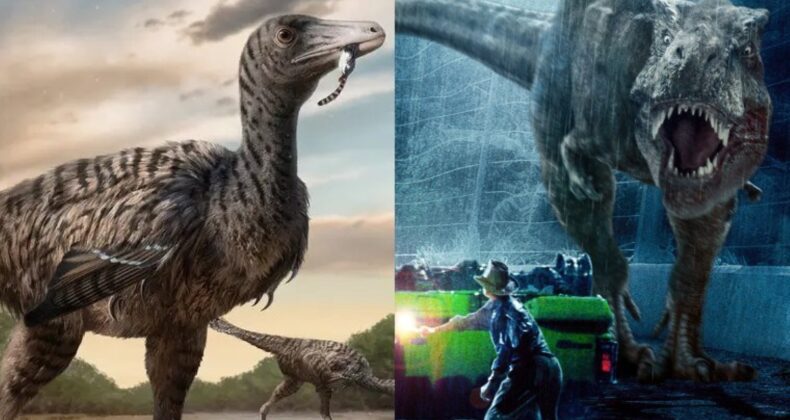 ‘Jurassic Park’ gerçek oldu: Dinozorların hiyerarşisi yeniden yazılıyor