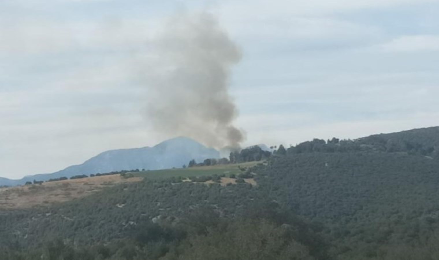 Kahramanmaraş’ta ormanlık alanda çıkan yangın söndürüldü