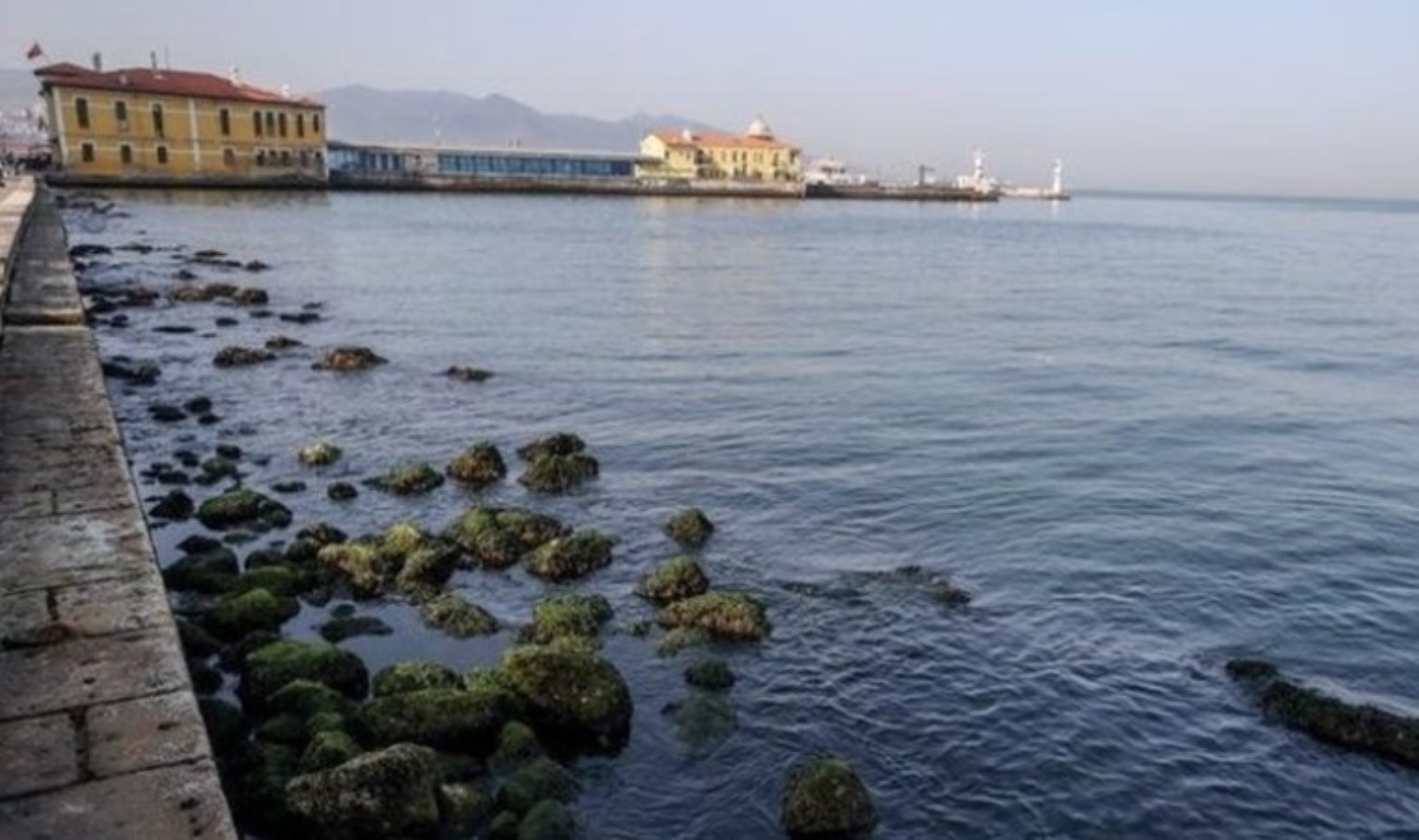 Kan donduran olay! Anne, 1 yaşındaki bebeğini denize attı