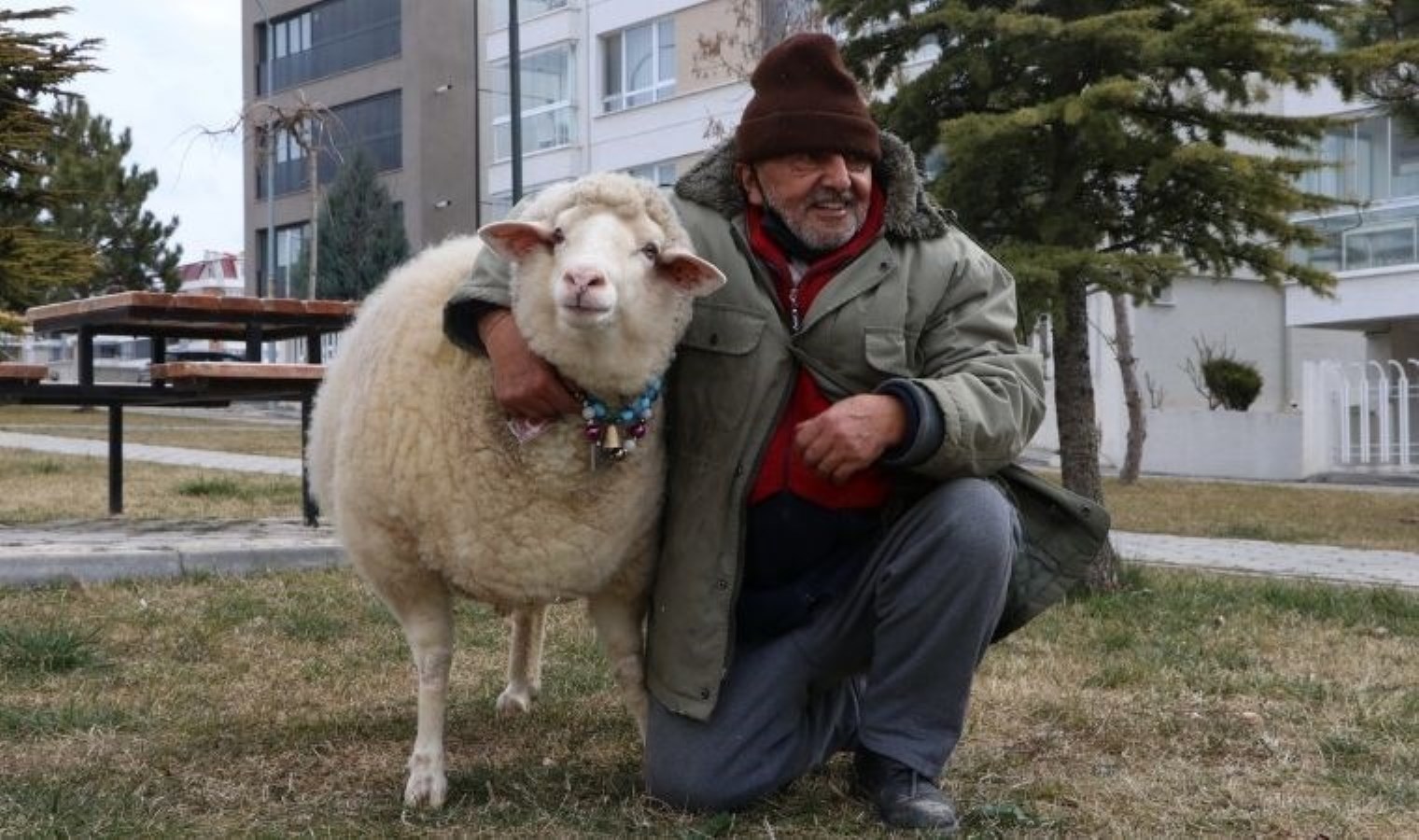 Kesemediği kuzuyu 4 yıldır yanından ayrılmıyor: ‘Görmeyince özlüyorum’