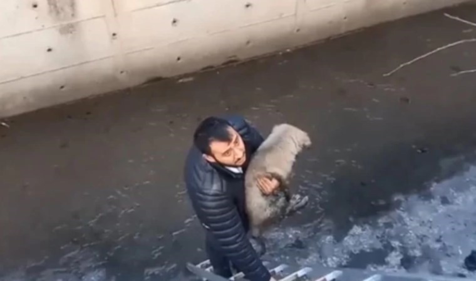 Kurbağalıdere’ye düşen köpeğini kurtarmak isterken mahsur kaldı