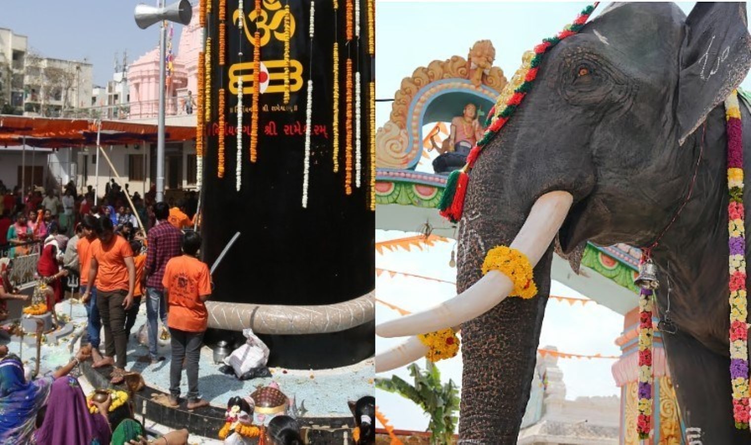 ‘Maha Shivaratri’ festivali kana bulandı: Fil saldırısı can aldı