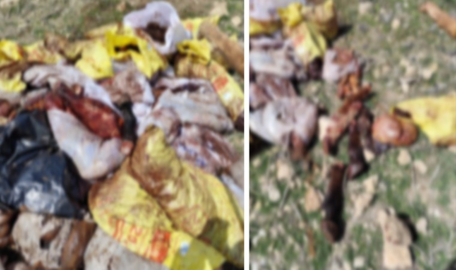 Mardin’de mide bulandıran olay: Et ve eşek kesen şüpheliye suçüstü!