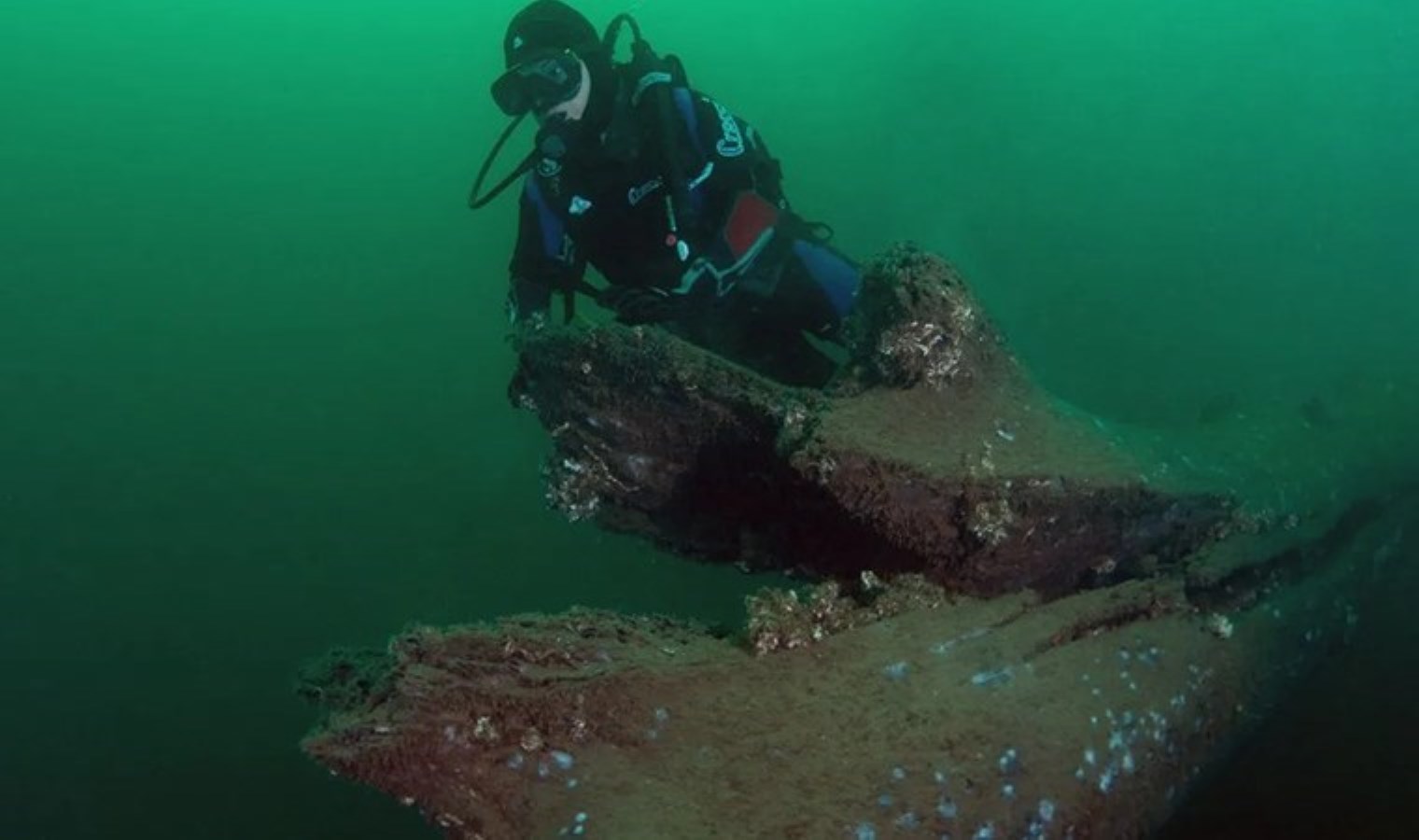 Marmara Depremi’nde Gölcük’te su altında kalan ağaçlar görüntülendi: ‘Yüzleşmek isteyen gelsin…’
