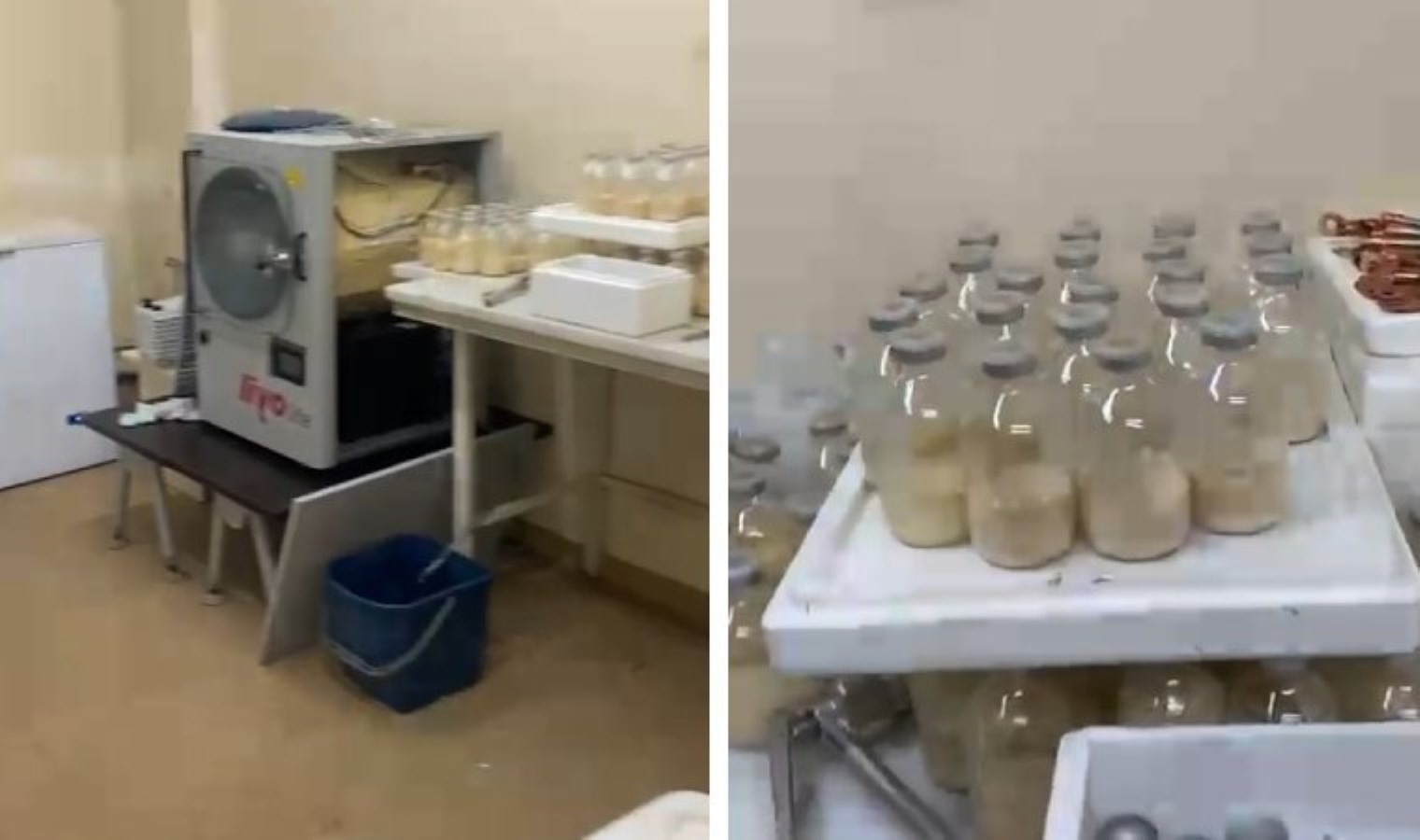 Merdivenaltı ‘genetik kliniği laboratuvarı’ mühürlendi: Hastalardan milyonlarca dolar istemişler