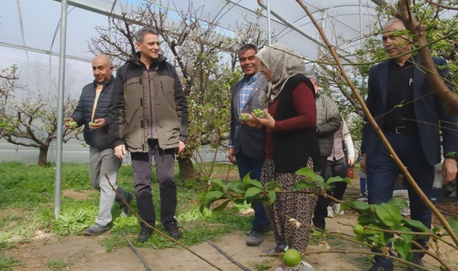 Mersin’de hasat başladı: Kilosu 8 bin lira…