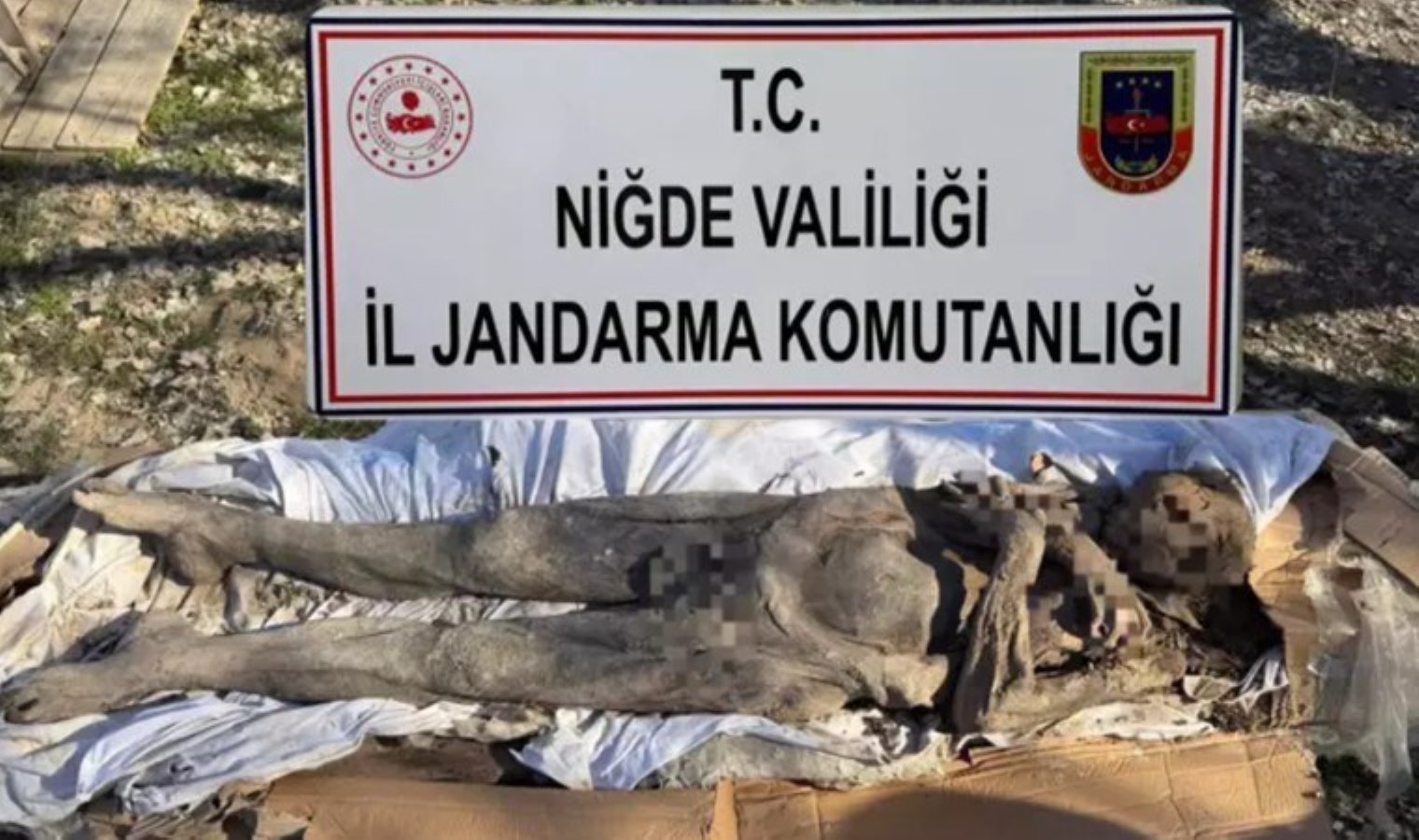 Niğde’de ‘mumya’ operasyonu: 7 şüpheli tutuklandı!