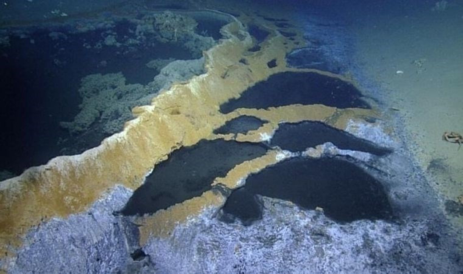 Ölüm Jakuzisi: İçine giren hiçbir canlı hayatta kalamıyor