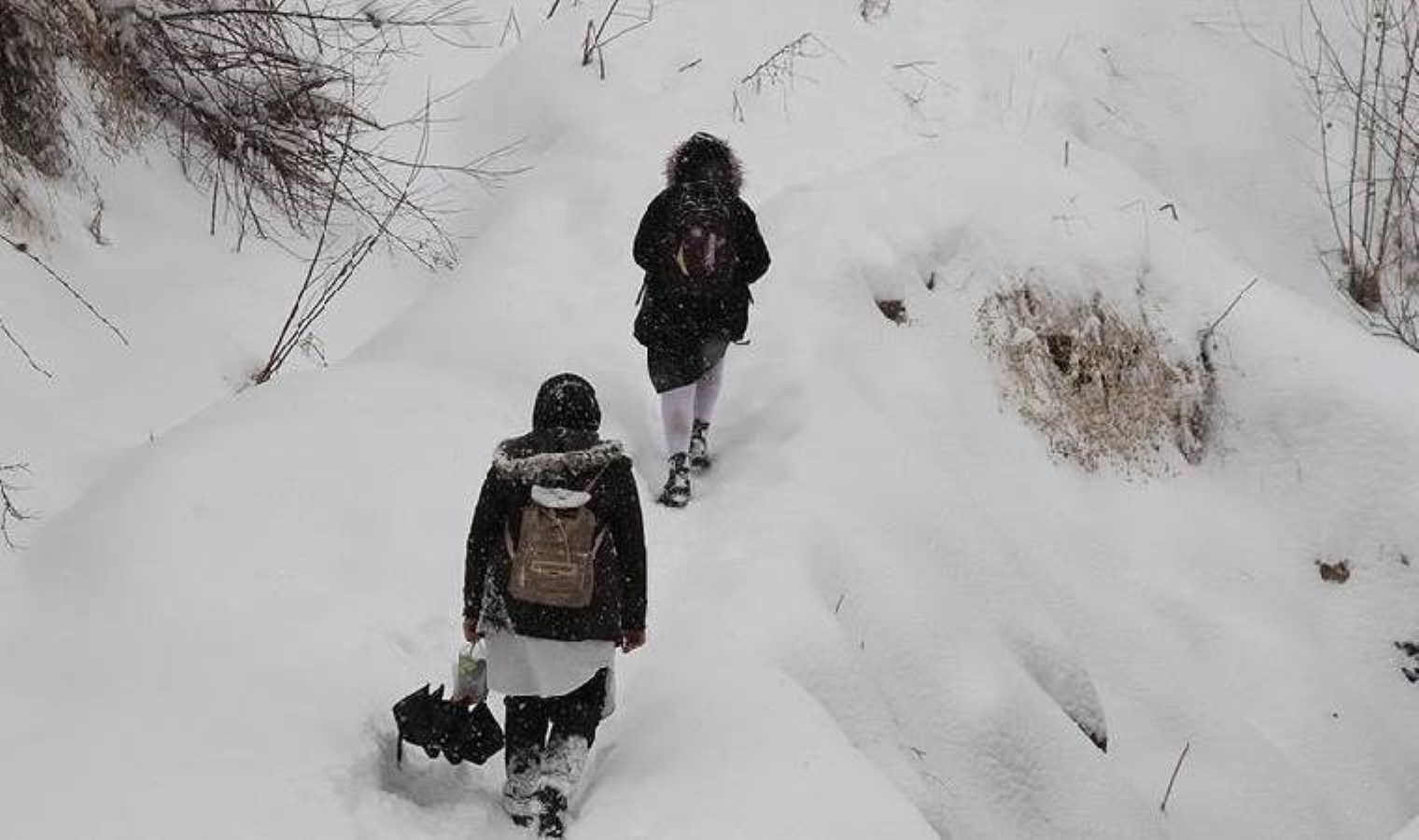 Samsun’un 15 ilçesinde eğitime ara verildi!