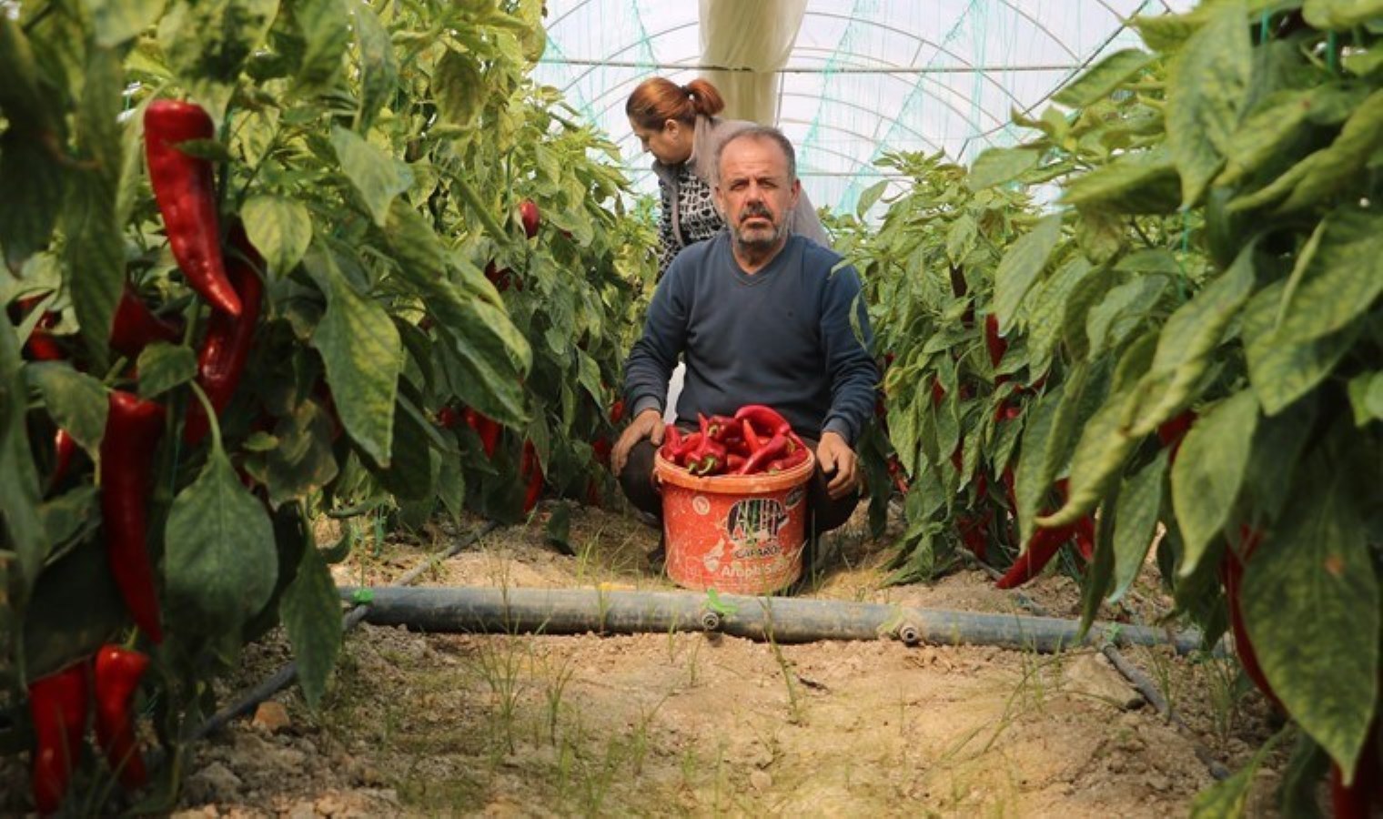 Serada 80 TL, marketlerde 150 lira!