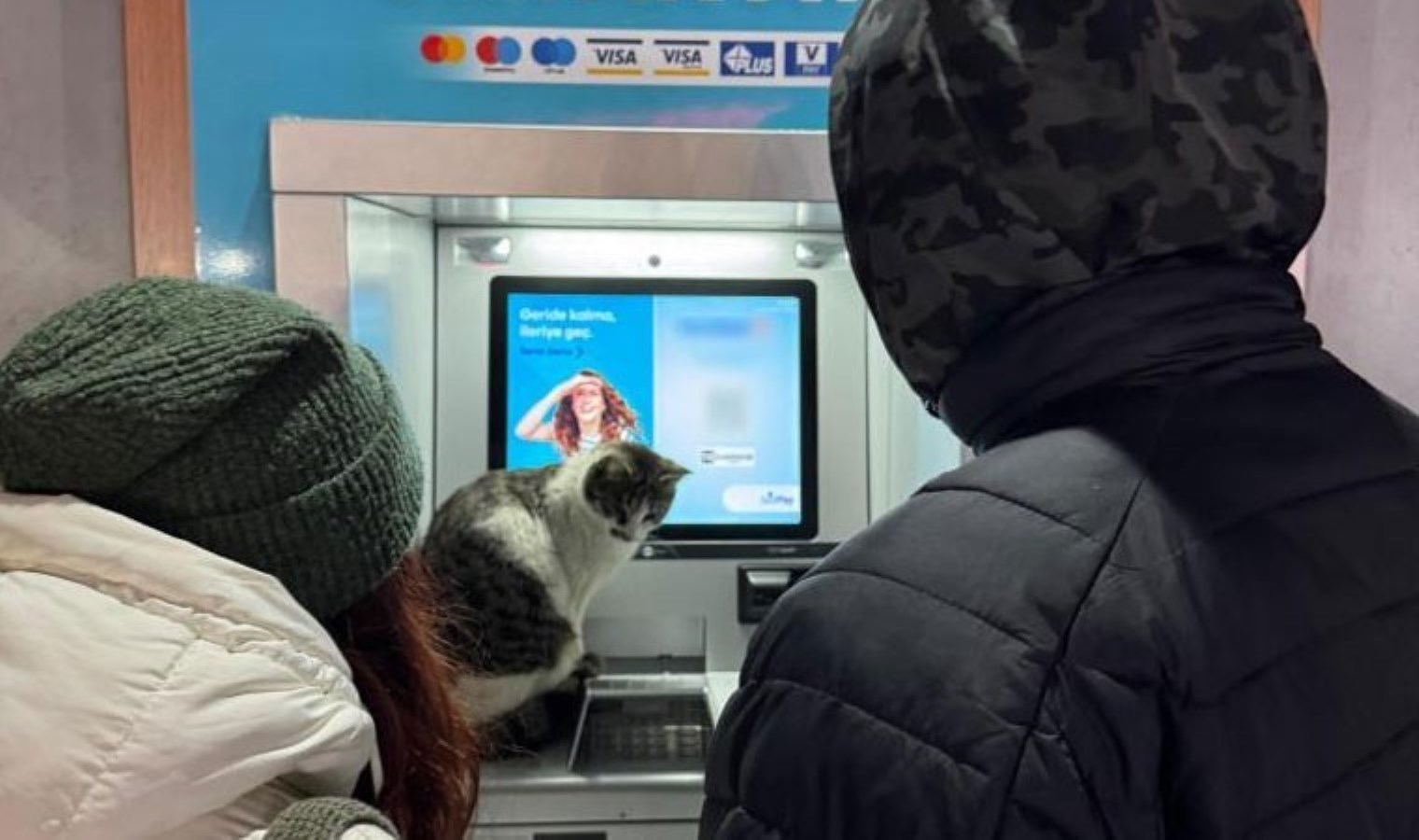 Soğuktan kaçan kedi kimseye aldırış etmeden ATM’ye sığındı